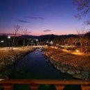 고산자원 전남일보