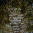 푸(Fu) 이미지