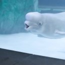 벨라월드