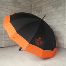 더라파팜 이미지