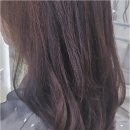 산울 | 세종미용실, 마음까지 꽃피우는 곳 하하나헤어 산울점 방문 후기