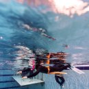 통나무아일랜드 | 수원 스포츠아일랜드 프리다이빙 첫 수업 후기 | 고고다이브 초급 1강