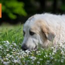 수겔러리카페펜션 이미지