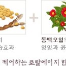 일리일리 이미지