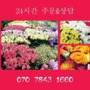 H4500 이미지