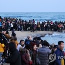정동진 해맞이 축제 '모래시계회전식'