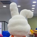 모모아일랜드