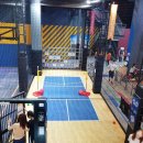몬스터(monster sports)