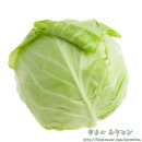 유정동물약품 | 2015.05.14. 양배추즙을 도저히 못 먹겠다면 제트유정을 시도해보길..!