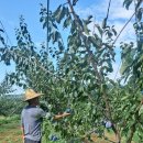 솔마루농장 이미지