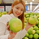 스위티 이미지