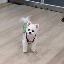 광주 서구 네일샵 추천 동천동 채워드림 내돈내산 후기