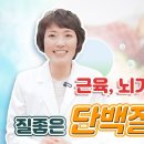 근육, 뇌기능, 면역에 질좋은 '단백질' 섭취방법 이미지