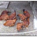 가곡천흙과돌 이미지