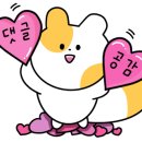버블스토리 키즈헤어 이미지