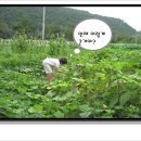 준원농장 이미지