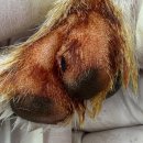 준 동물병원 이미지