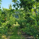 또박이농장 이미지