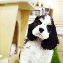 비비드 힐 이미지