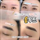 수강약국 | [익산] 영등동 눈썹시술 맛집 "올무드" 솔직후기, 금액정보, 내돈내산