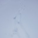 거창-가북-3 이미지