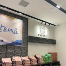 송해온 이미지