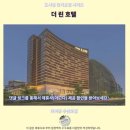 모던카프라자 | 타이중 더 린 호텔 후기 럭셔리 끝판왕 추천 숙소