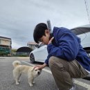 무창포사제스힐 이미지