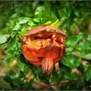 땡칠이 민박 이미지