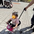 마이크로 트라이크 8개월 사용 후기 (기내반입 / 폴딩 / 아이 둘 실사용 장단점)