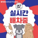 페츠런 이미지