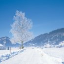 푸르른날 이미지