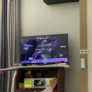 블루엔젤 하우스 이미지