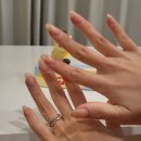 [노노트 크리미 핸드버터] 반려동물 집사님께 추천하는, 순한 무향 비건 핸드크림 후기