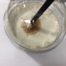 프란치하우스 이미지