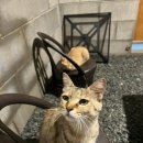 비커밍풀빌라펜션 이미지