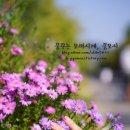 신데렐라네일 - 관악구 봉천로 500 | 신데렐라네일