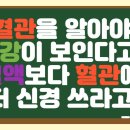 혈관을 알아야 건강이 보인다고요? 혈액보다 혈관에 더 신경 쓰라고요!-독일PM건강 이미지