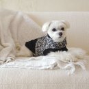 COZY 멍 이미지