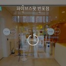 웨이브캐쳐스