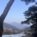 소나무목장 | [캠린이일기] 오십네번째. 평창 산너미목장