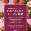 애슐리퀸즈 딸기축제 기간 내돈내산 후기 (스타필드 죽전점)