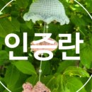 김밥풍경 - 양주시 옥정동로 187 | 김밥풍경