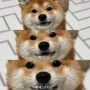 더좋은환경