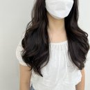 유니네미장원 | 오플리헤어 - 수정쌤 레이어드 컷, 엘리자벳 펌 후기, 서구 월평동 미용실 추천, 이마트 트레이더스...