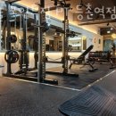 머슬포인트 짐 이미지