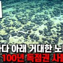 한국 전체 면적보다 큰 바닷속 황금, 미국 앞바다에서 한국이 단독으로 채굴한다. 이미지