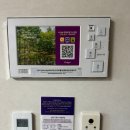 하이원펫클럽 | 정선 하이원리조트 하이원펫클럽 반려동물동반 힐콘도D동 방문후기