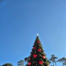 지도먹거리 | 잠실 롯데 크리스마스 마켓 방문 오전 방문 후기 (예약, 현장예약, 지도, 먹거리, 포토스팟, 스노우 샤워)