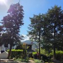 섬진강 플로렌스 | 하동 감성 숙소 4인 펜션 : 섬진강 플로렌스 쉐비하우스